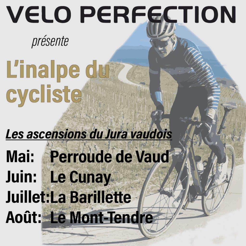 La barillette velo online